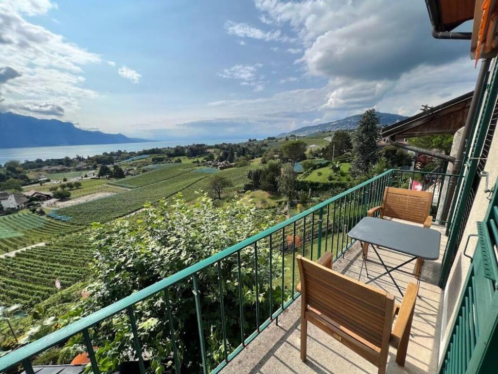 La Vigneronne, Uitzicht Op Het Meer Arlesheim Ngoại thất bức ảnh