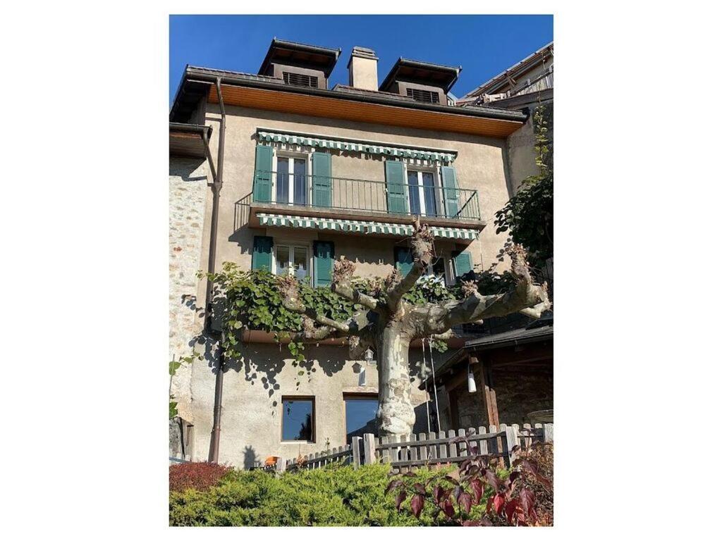 La Vigneronne, Uitzicht Op Het Meer Arlesheim Ngoại thất bức ảnh